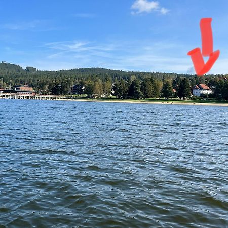 Апартаменти Riviera Lipno 415 Ліпно-над-Влтавою Екстер'єр фото
